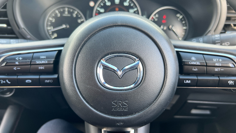 Mazda 3 2.5 e-Skyactiv G MHEV [140] Homura 5dr Petrol Hatchback